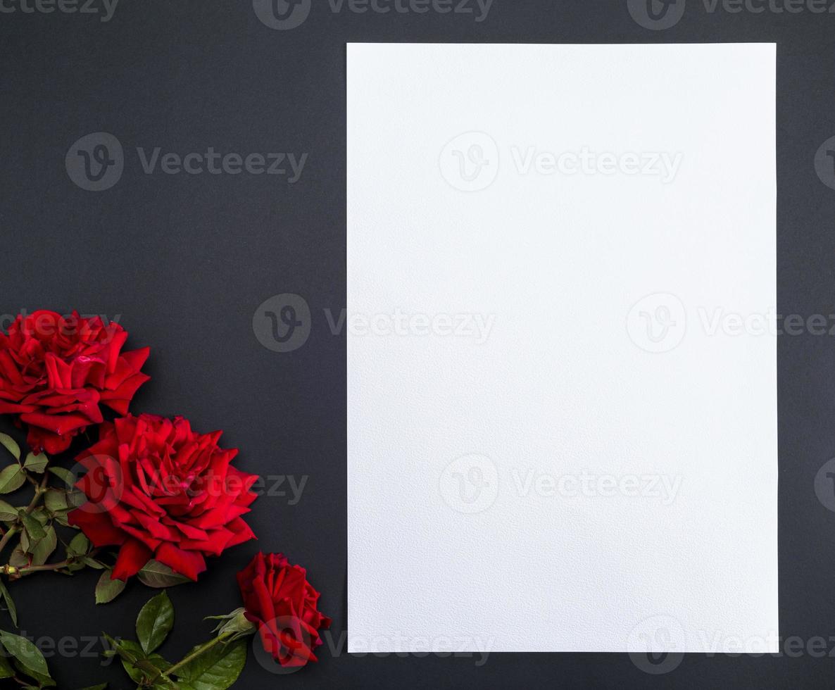 three red blooming roses on a black background and an empty white paper sheet photo