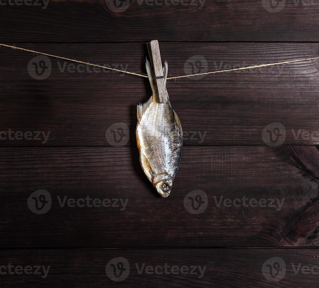 salted fish crucian hanging on a rope photo