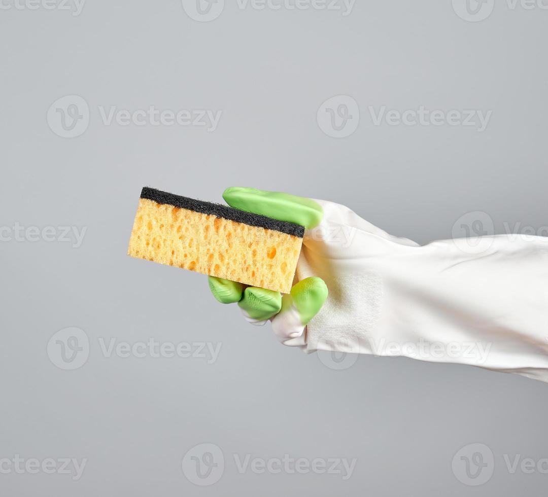 gloved hand holds  kitchen sponge photo