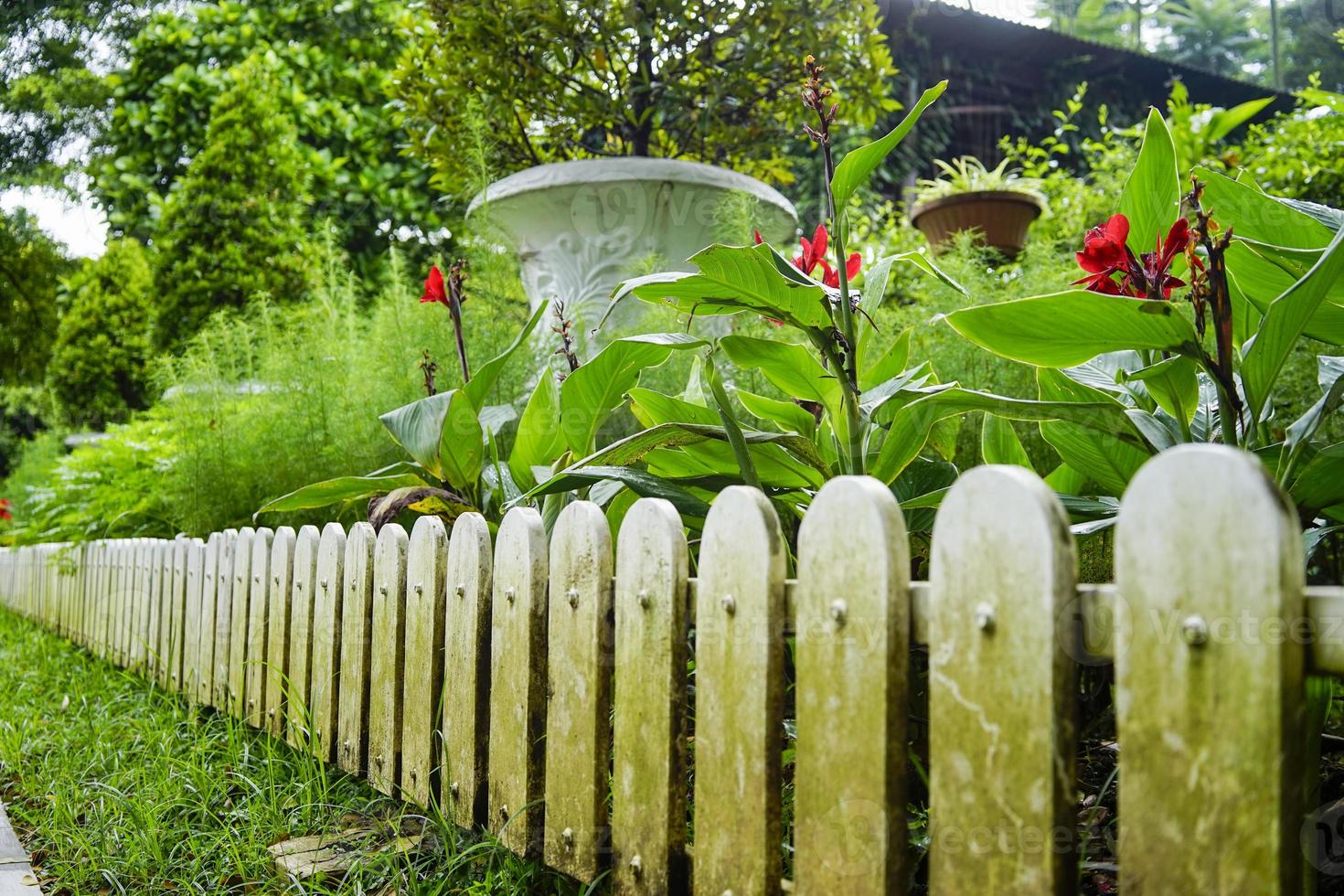 white fences in the garden photo