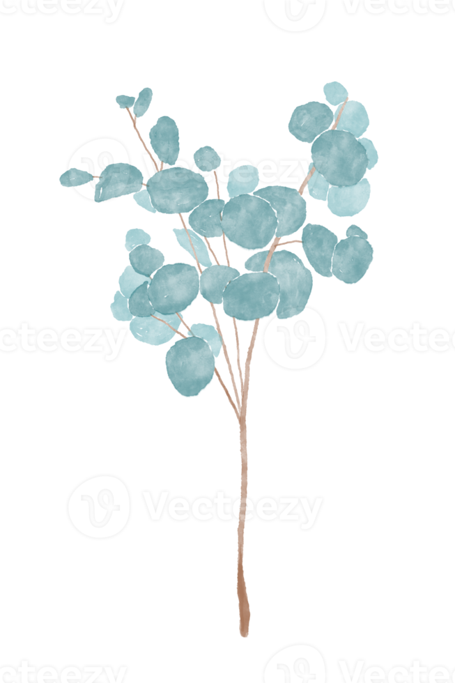 natural beautiful branches and leaves png