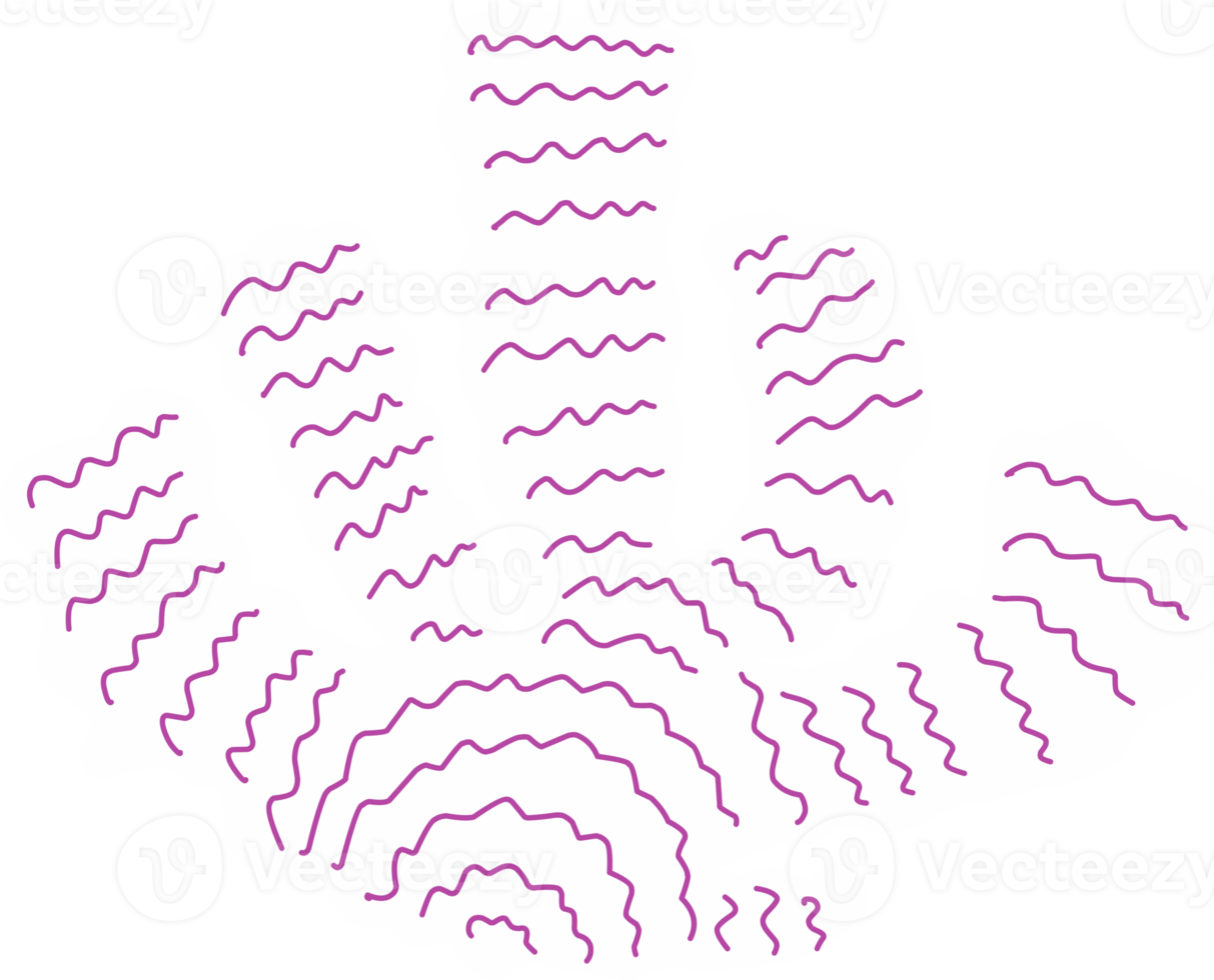 simple drawn algae. isolated seaweed codium png
