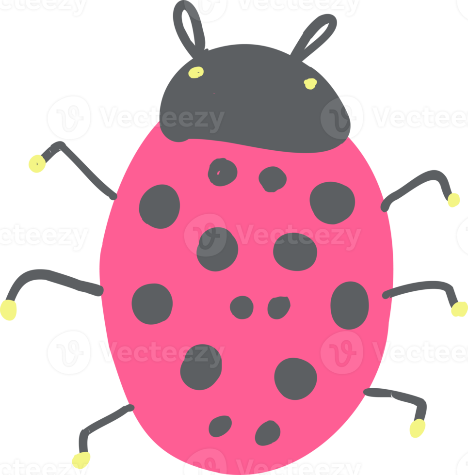 simple hand drawn from ladybug. isolated ladybug insect png