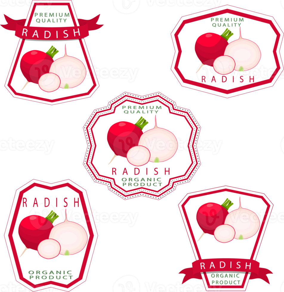 Sweet juicy tasty natural eco product radish png