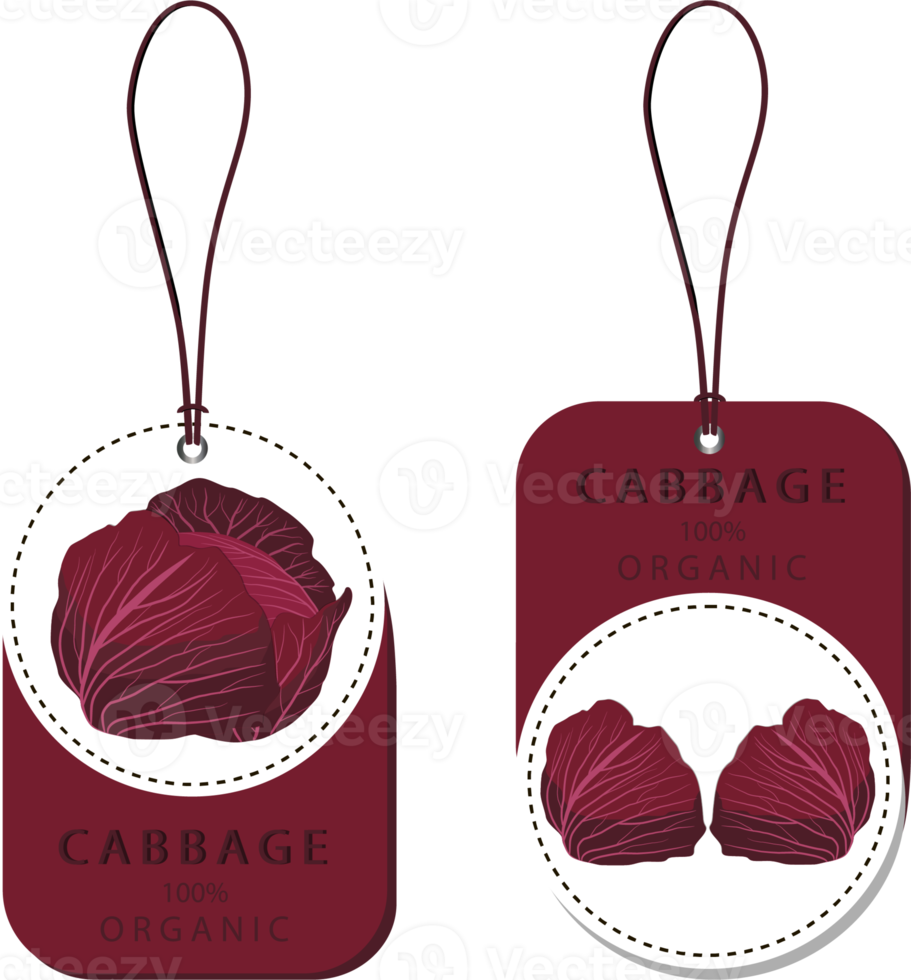 Sweet juicy tasty natural eco product cabbage png