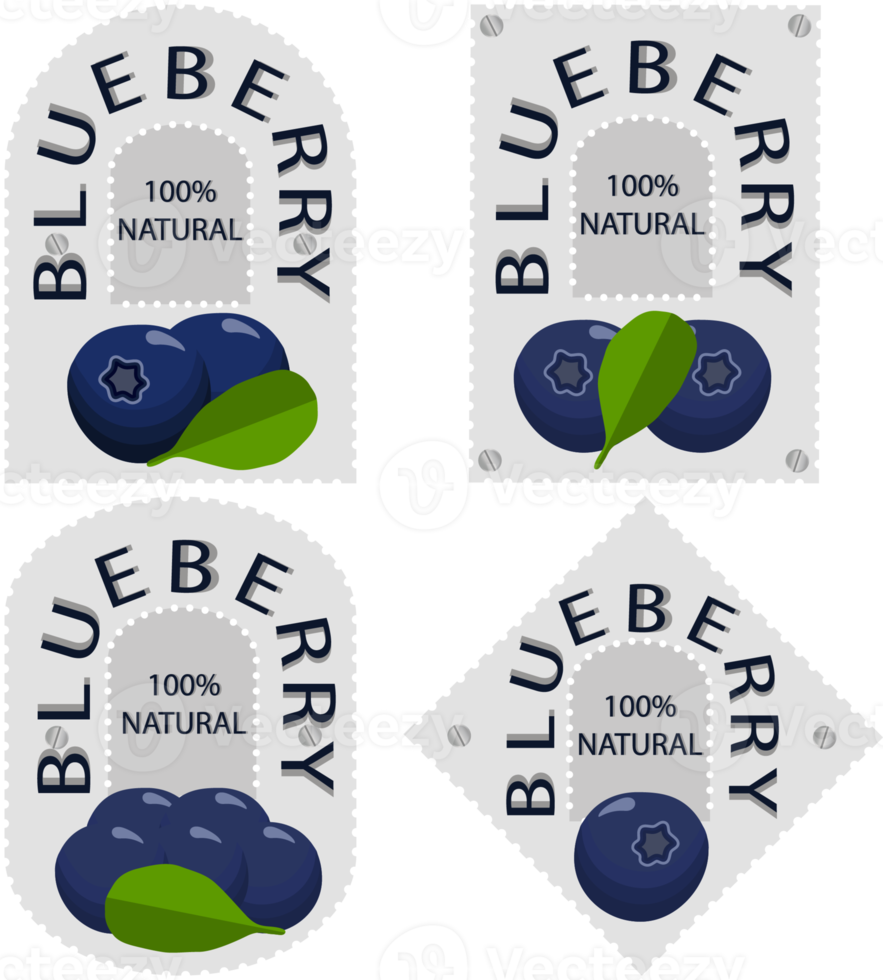 Sweet juicy tasty natural eco product blueberry png