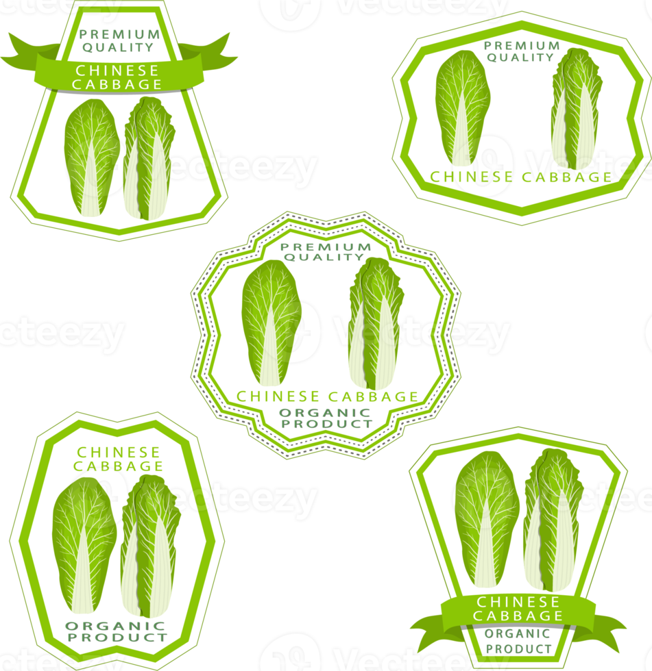 Sweet juicy tasty natural eco product cabbage png