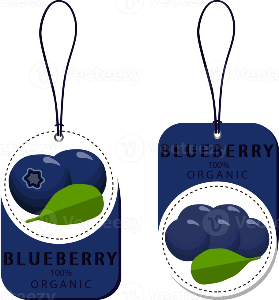 Sweet juicy tasty natural eco product blueberry png