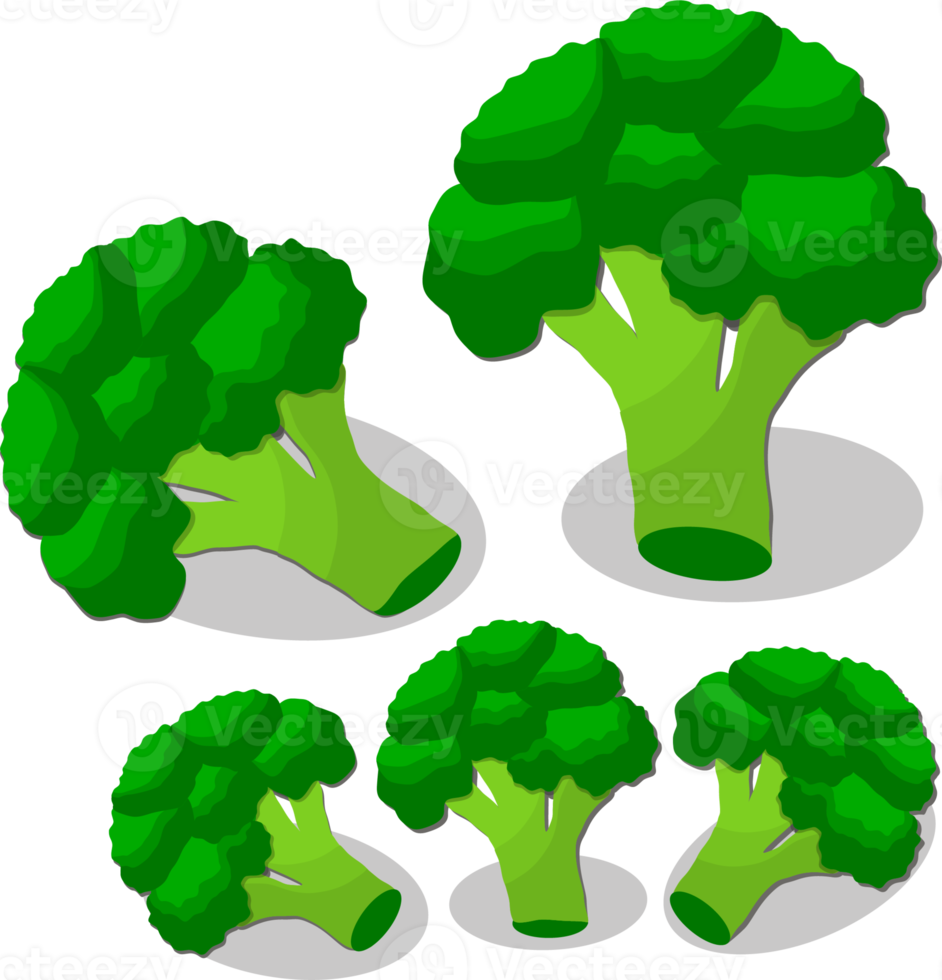 ljuv saftig gott naturlig eco produkt broccoli png