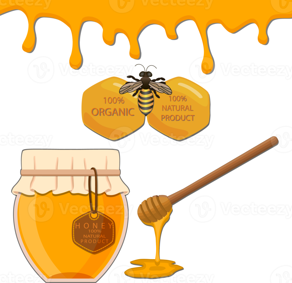 divers zoet smakelijk natuurlijk honing van honingraat png