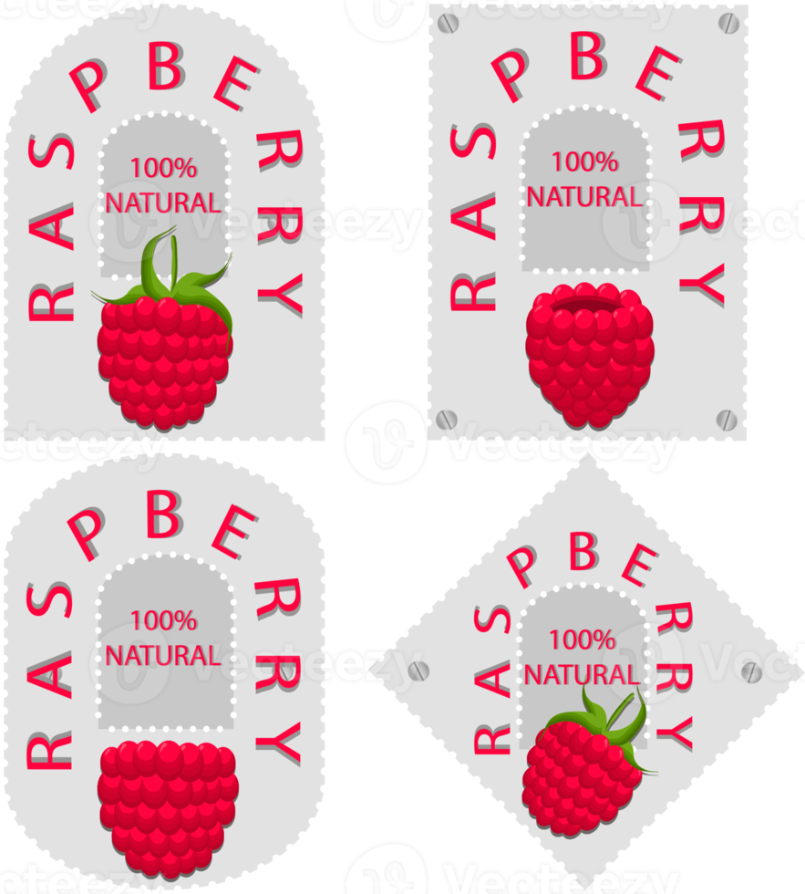 Sweet juicy tasty natural eco product raspberry png