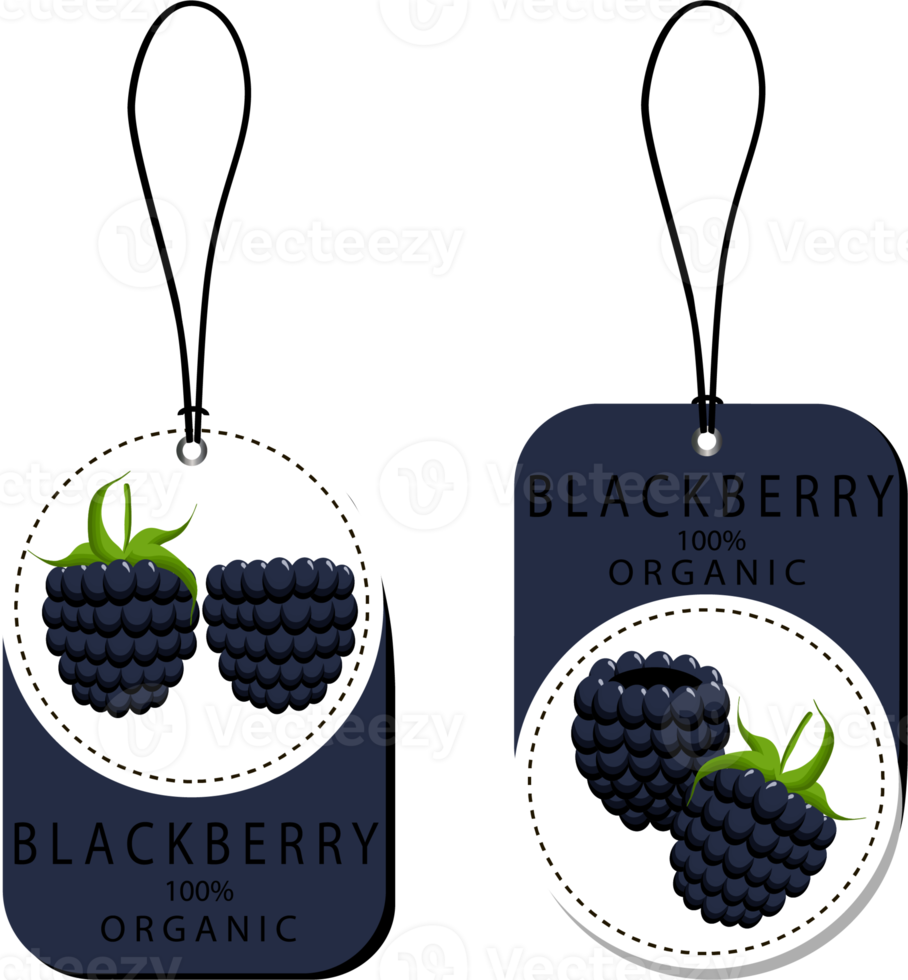 Sweet juicy tasty natural eco product blackberry png