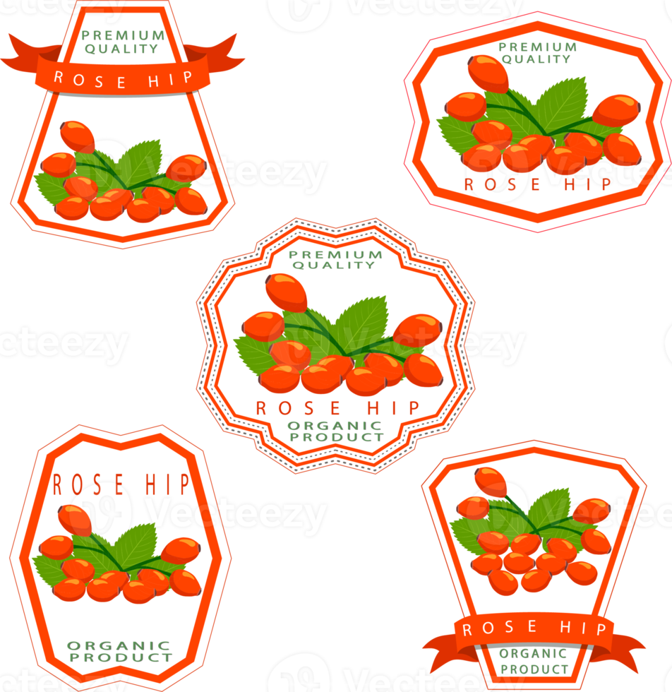 Sweet juicy tasty natural eco product rose hip png