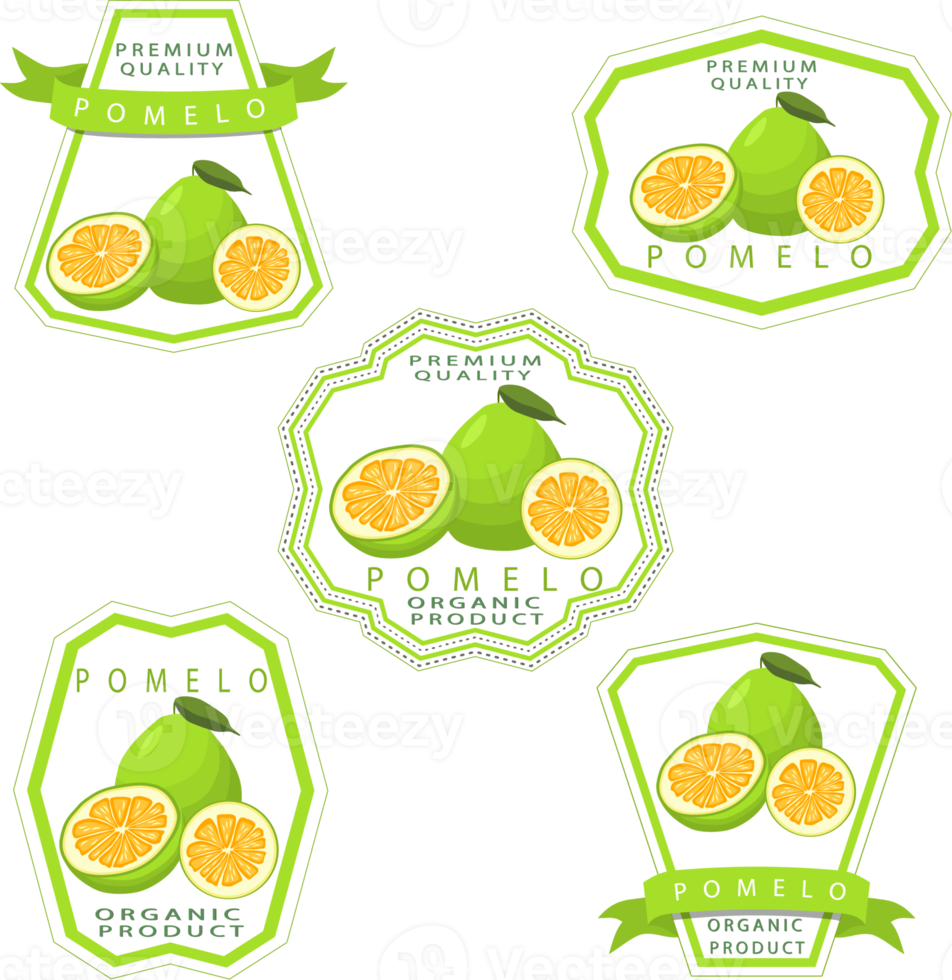 Sweet juicy tasty natural eco product pomelo png