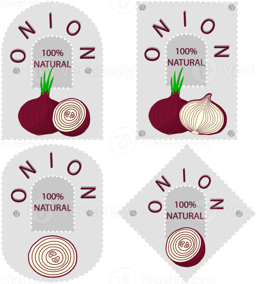 Sweet juicy tasty natural eco product onion png