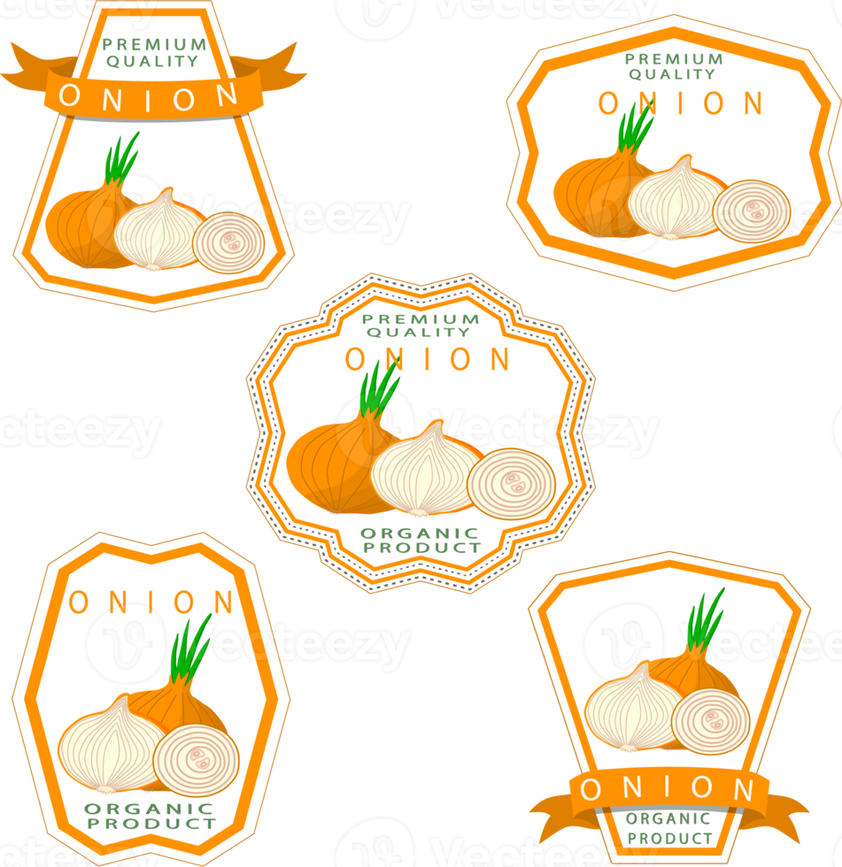Sweet juicy tasty natural eco product onion png