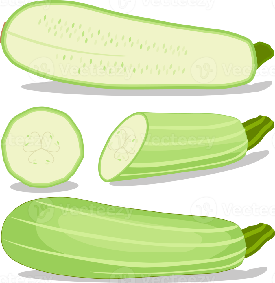 sucré juteux savoureux Naturel éco produit vert Zucchini png