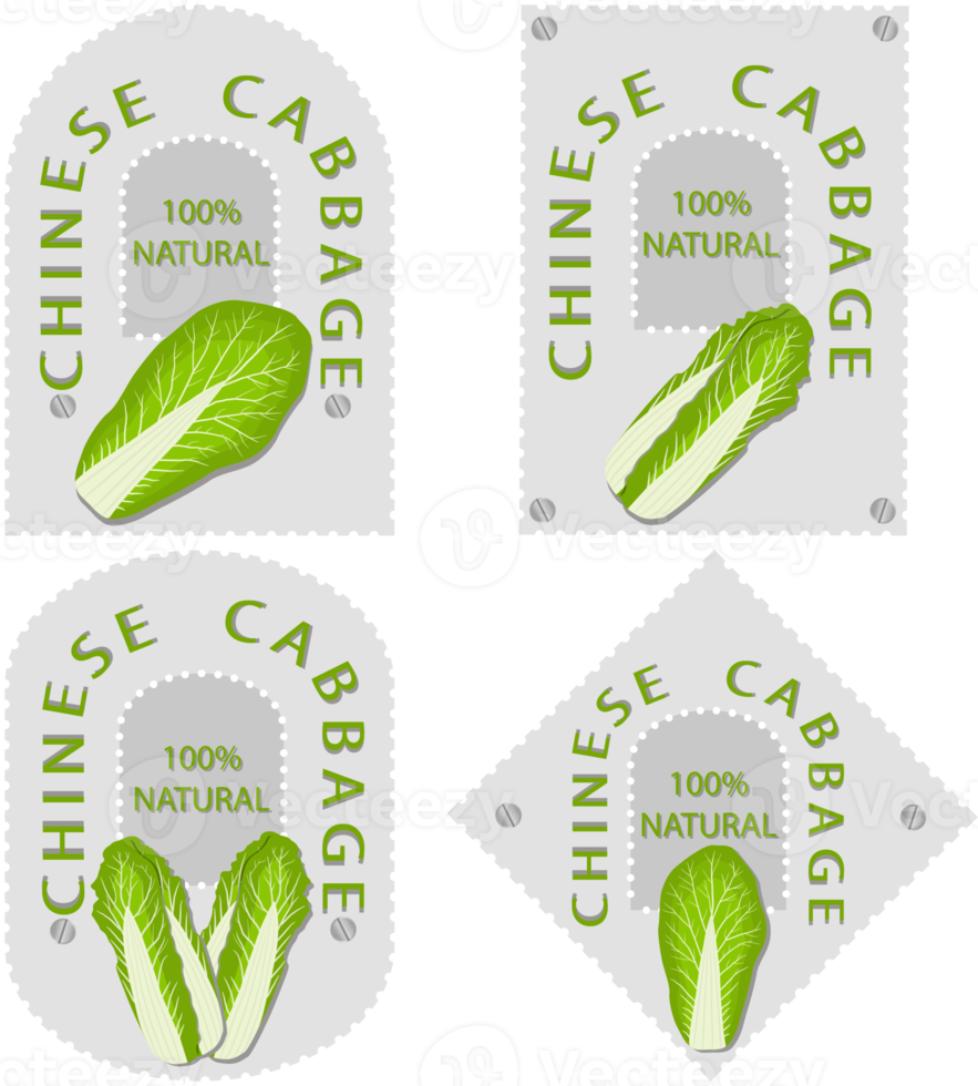 Sweet juicy tasty natural eco product cabbage png