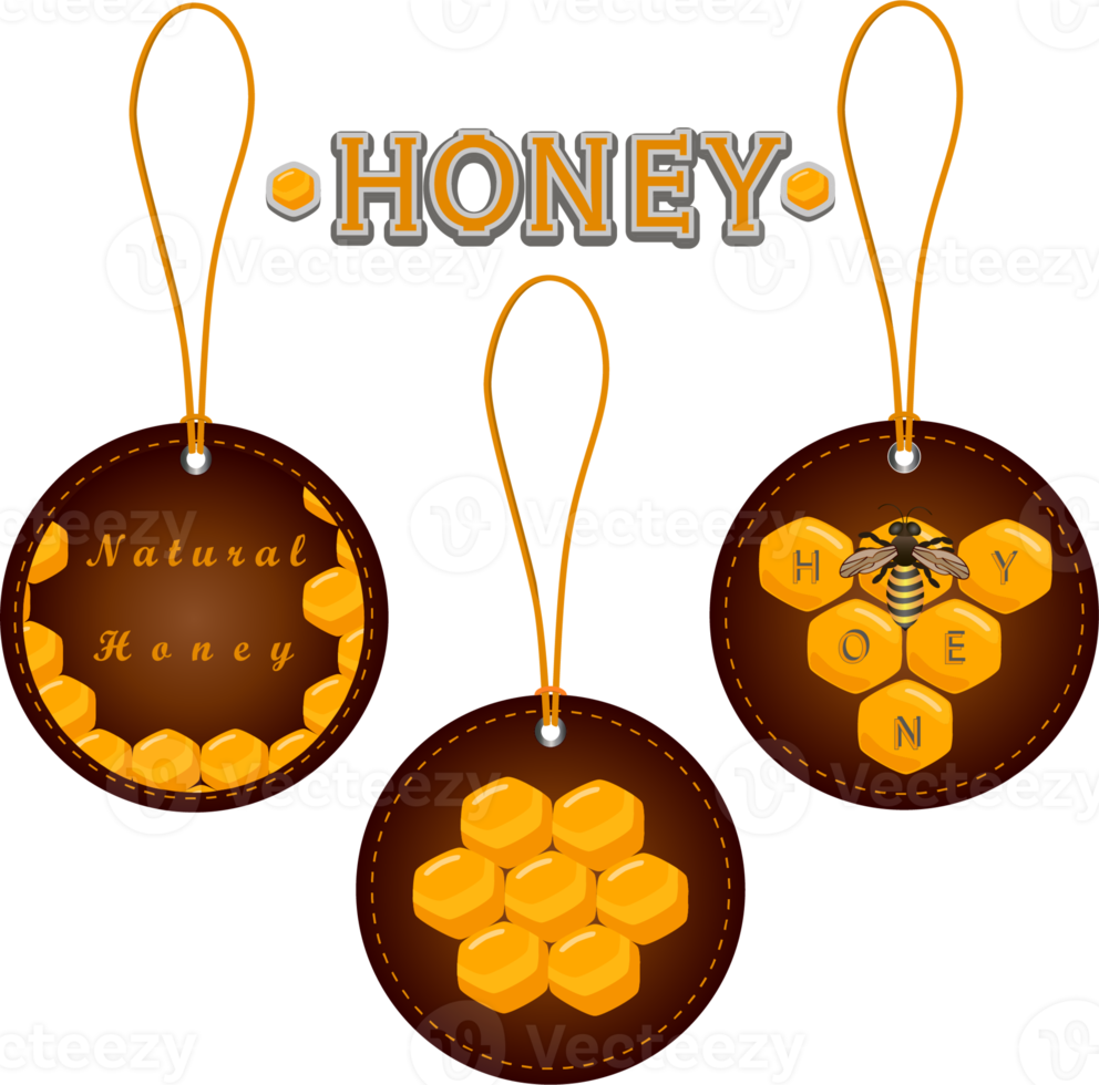 divers zoet smakelijk natuurlijk honing van honingraat png
