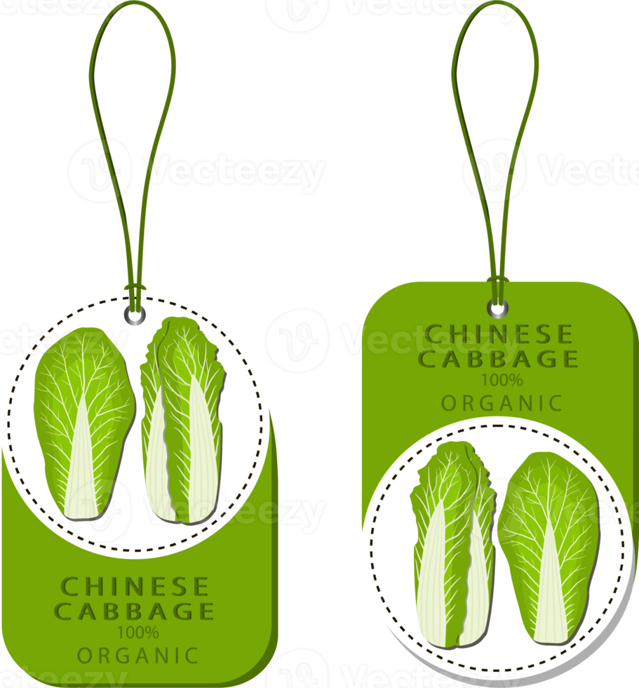 Sweet juicy tasty natural eco product cabbage png