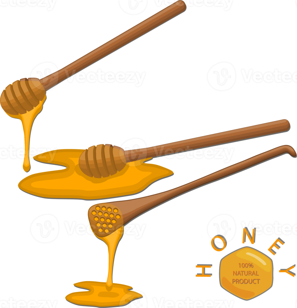 divers zoet smakelijk natuurlijk honing van honingraat png