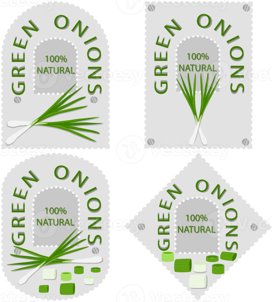 Sweet juicy tasty natural eco product onion png