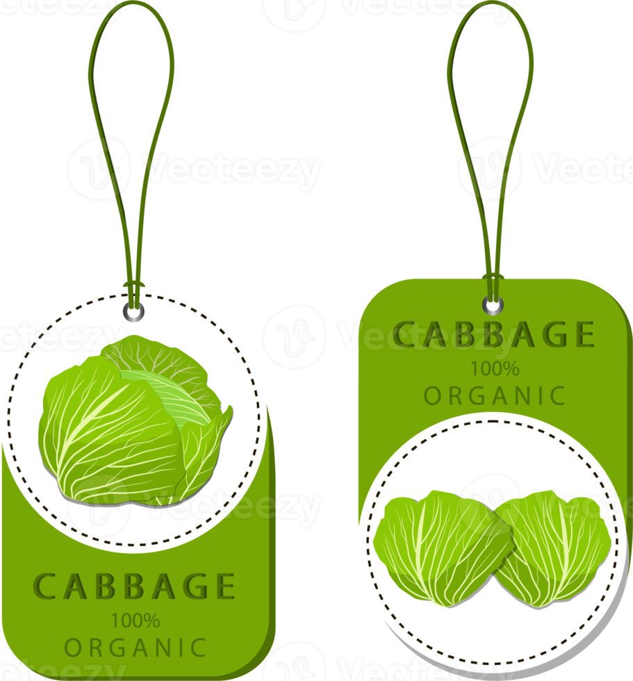Sweet juicy tasty natural eco product cabbage png