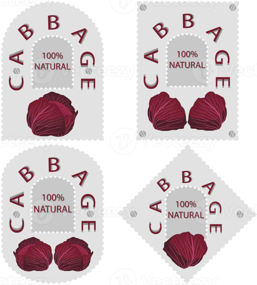 Sweet juicy tasty natural eco product cabbage png