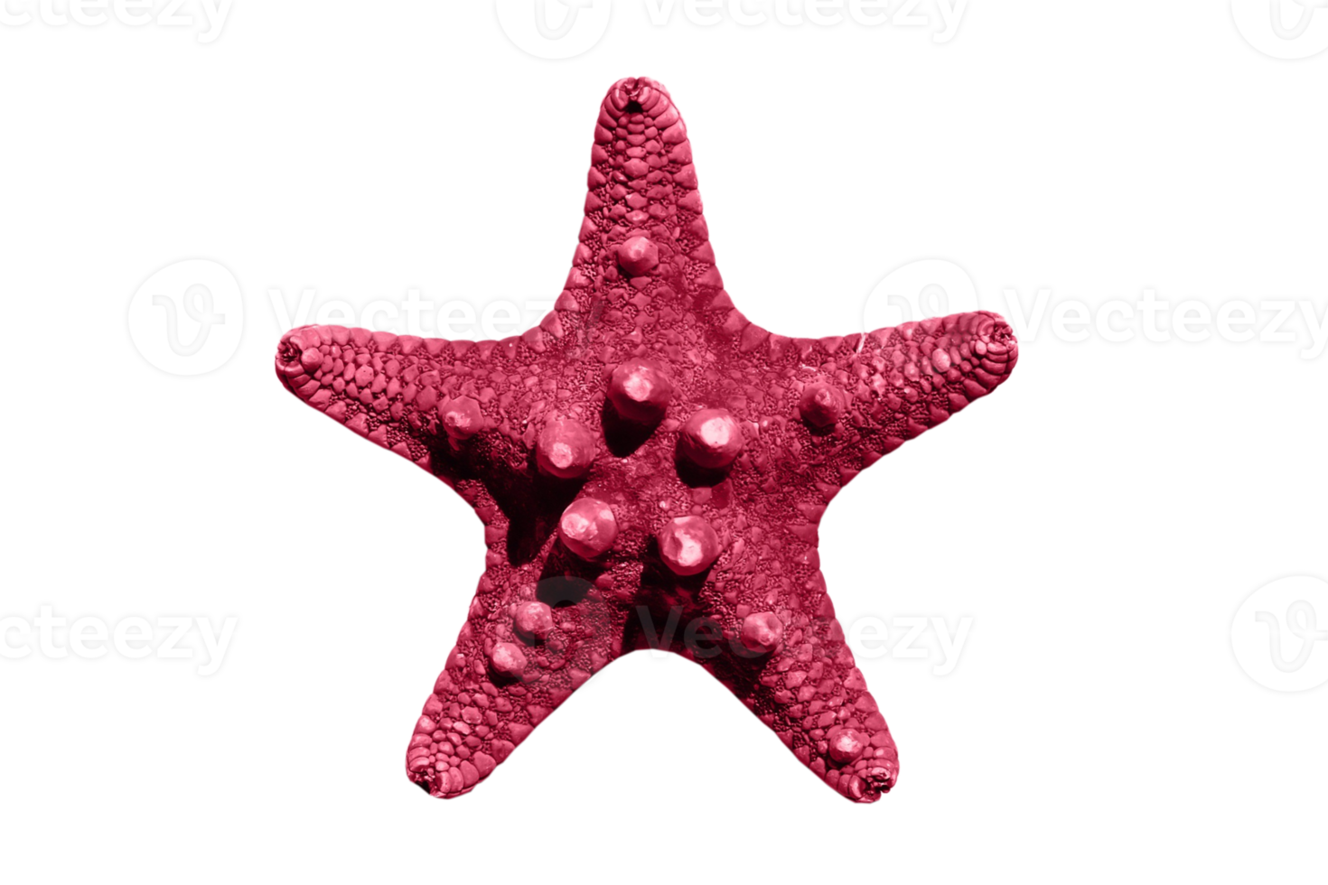 rosado estrella de mar aislado en un transparente antecedentes png