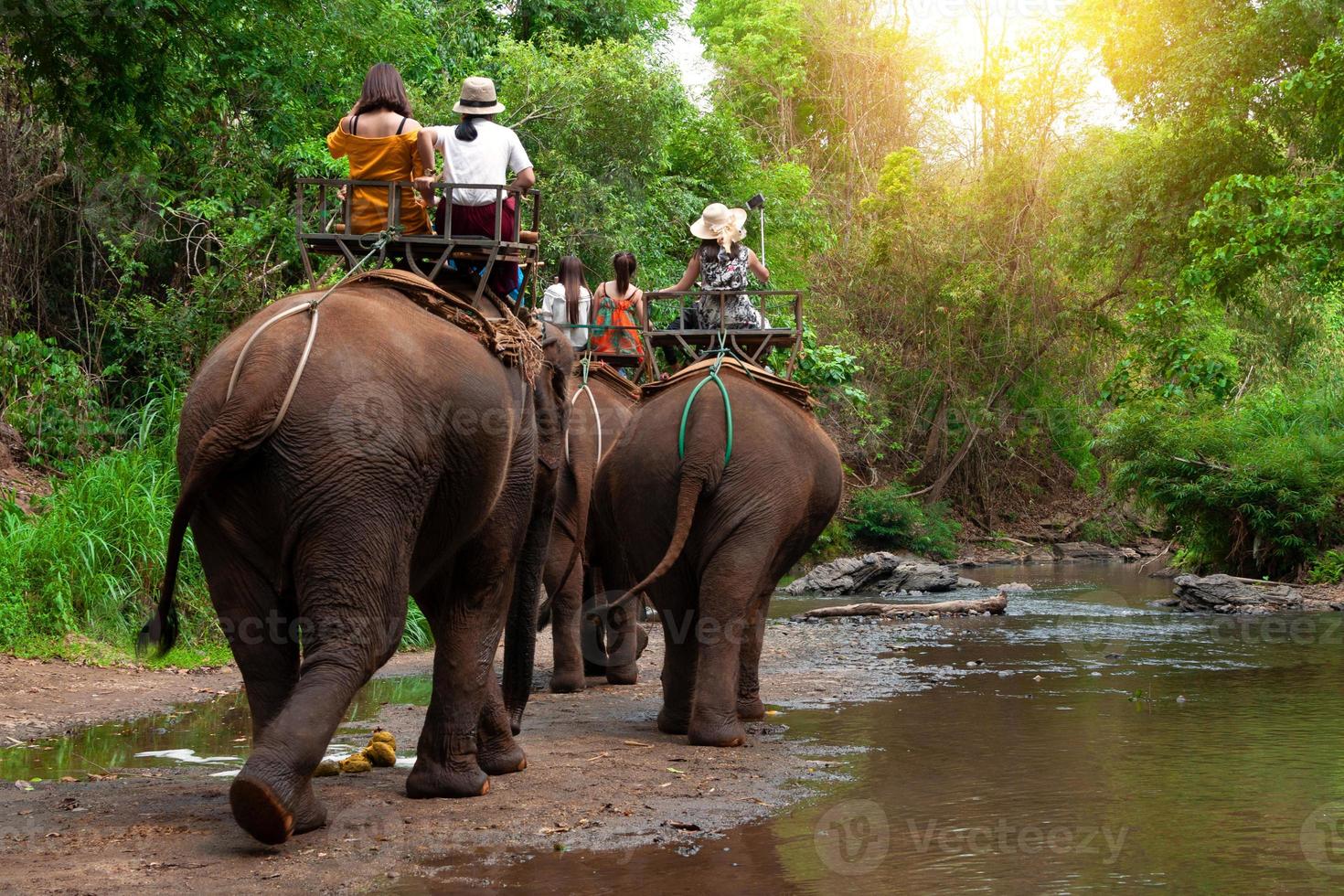 Group tourists to ride on elephant in forest chiang mai, northern Thailand photo