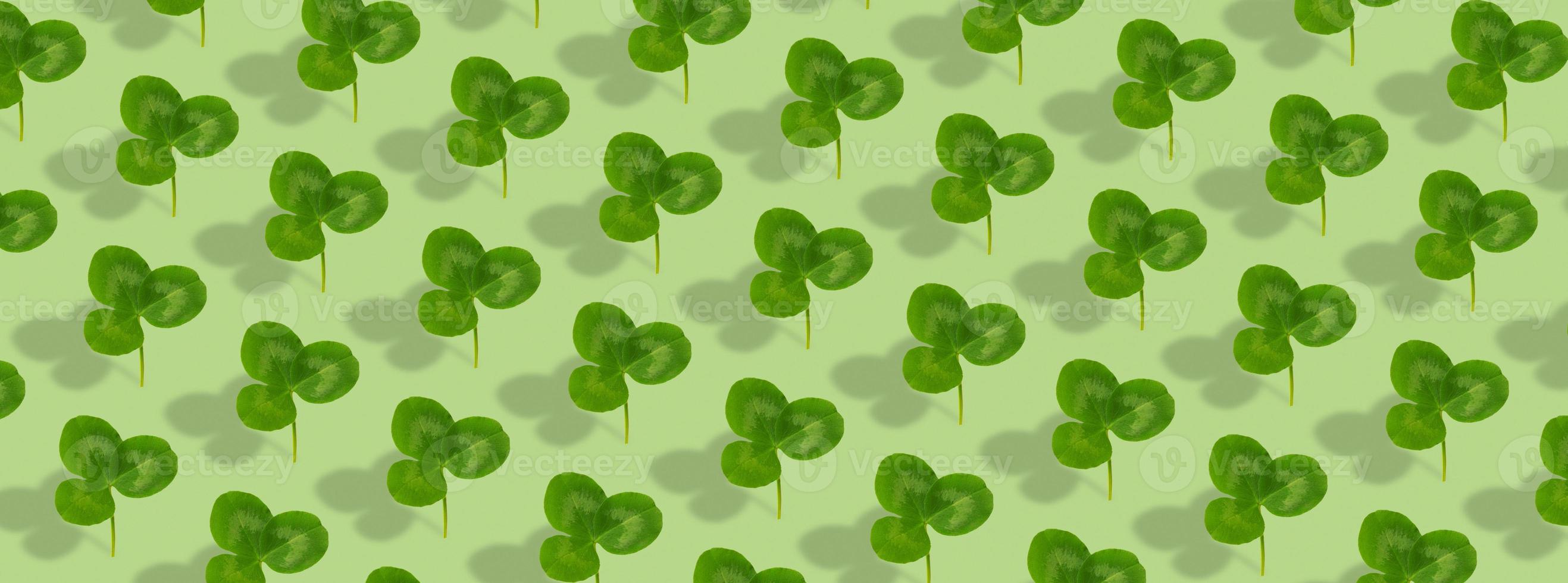 Clover leaf pattern on colored background. Abstract banner background for St. Patrick's Day photo