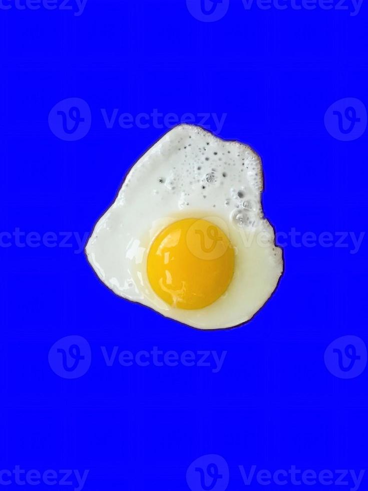 Egg Isolated on a blue background photo