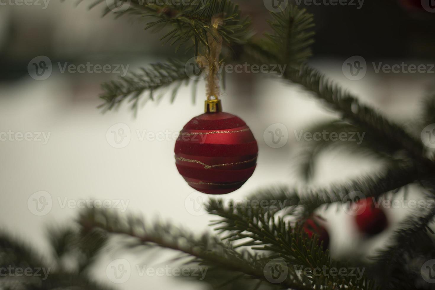 Red balls on spruce. Decoration for new year. Festive mood in winter. photo