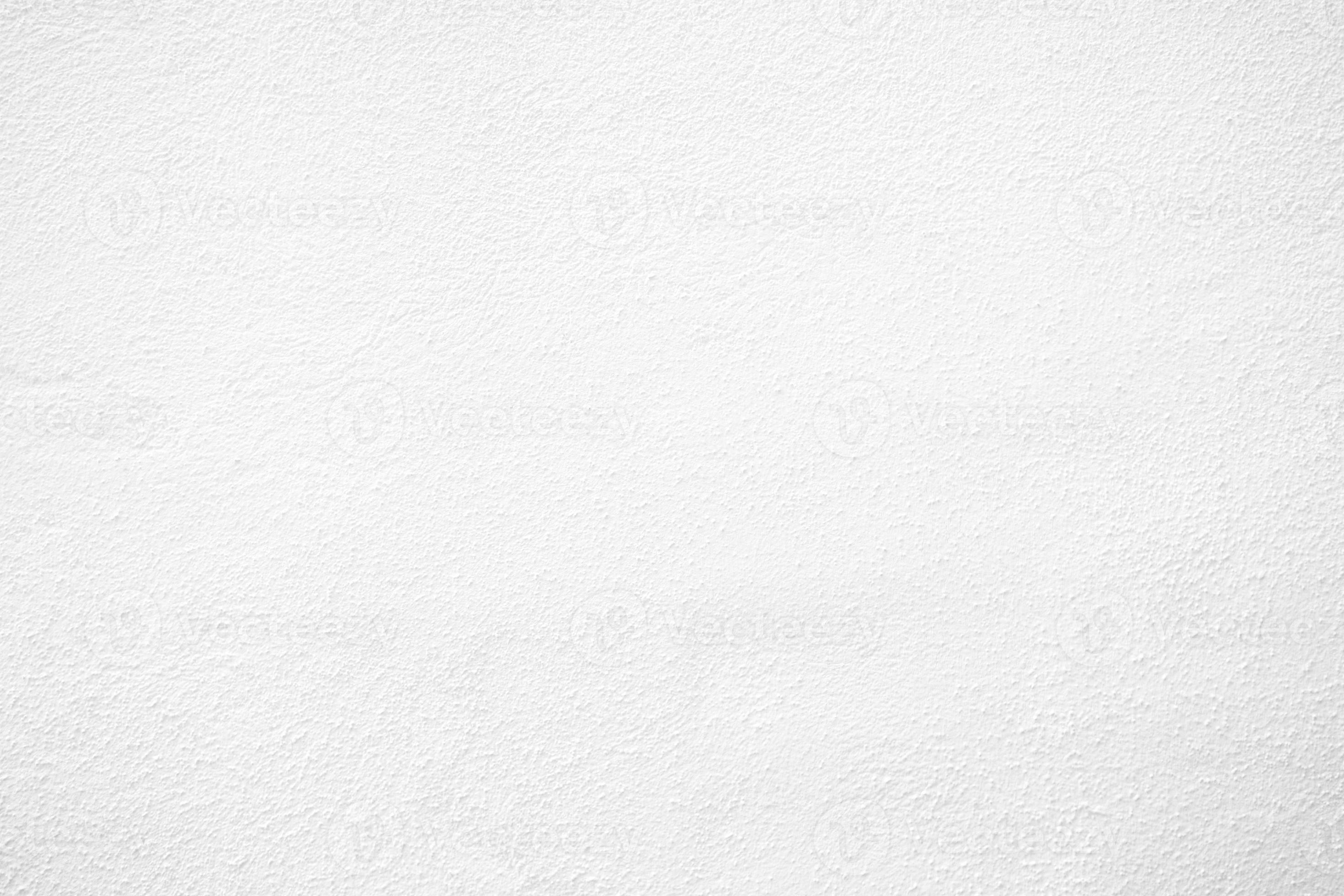 White 2024 concrete paint