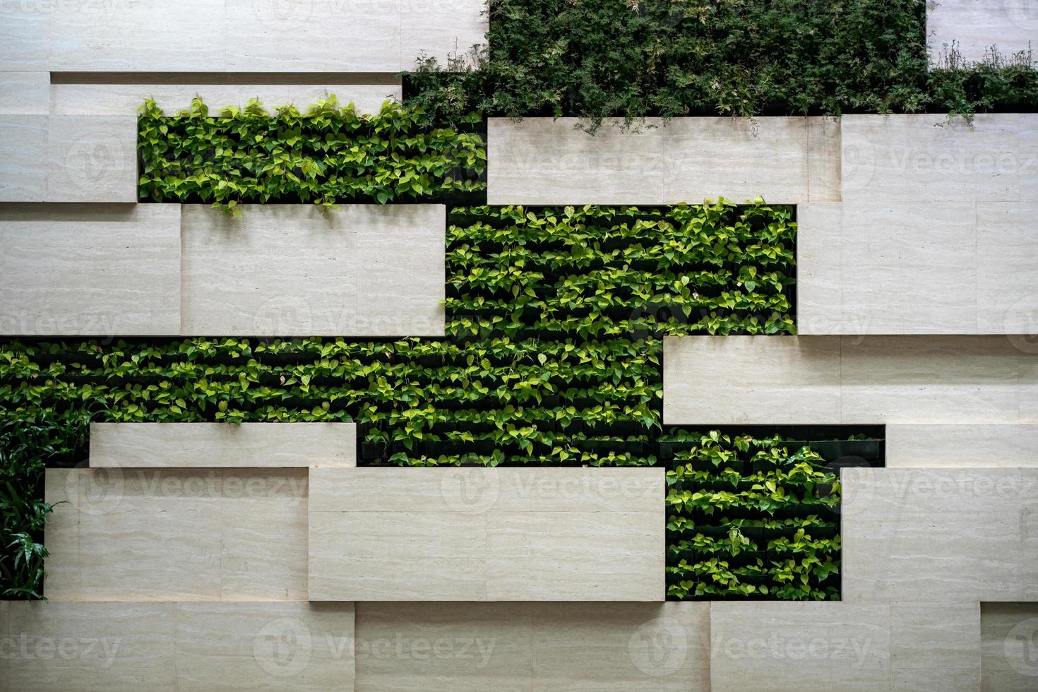 Wall in modern interior with blocks and vertical garden. photo