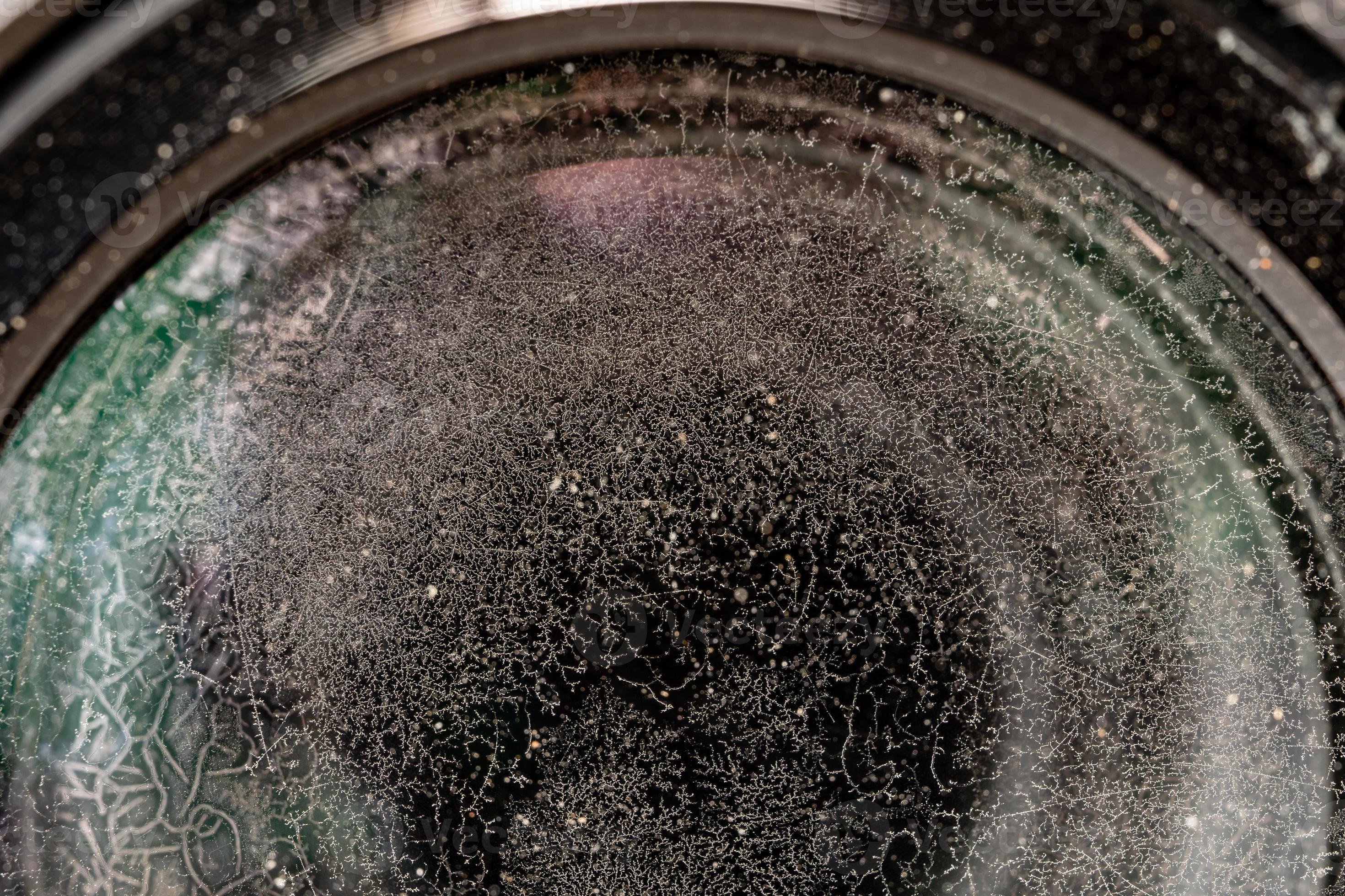 Fungus and mold on a camera lens. 19773676 Stock Photo at Vecteezy