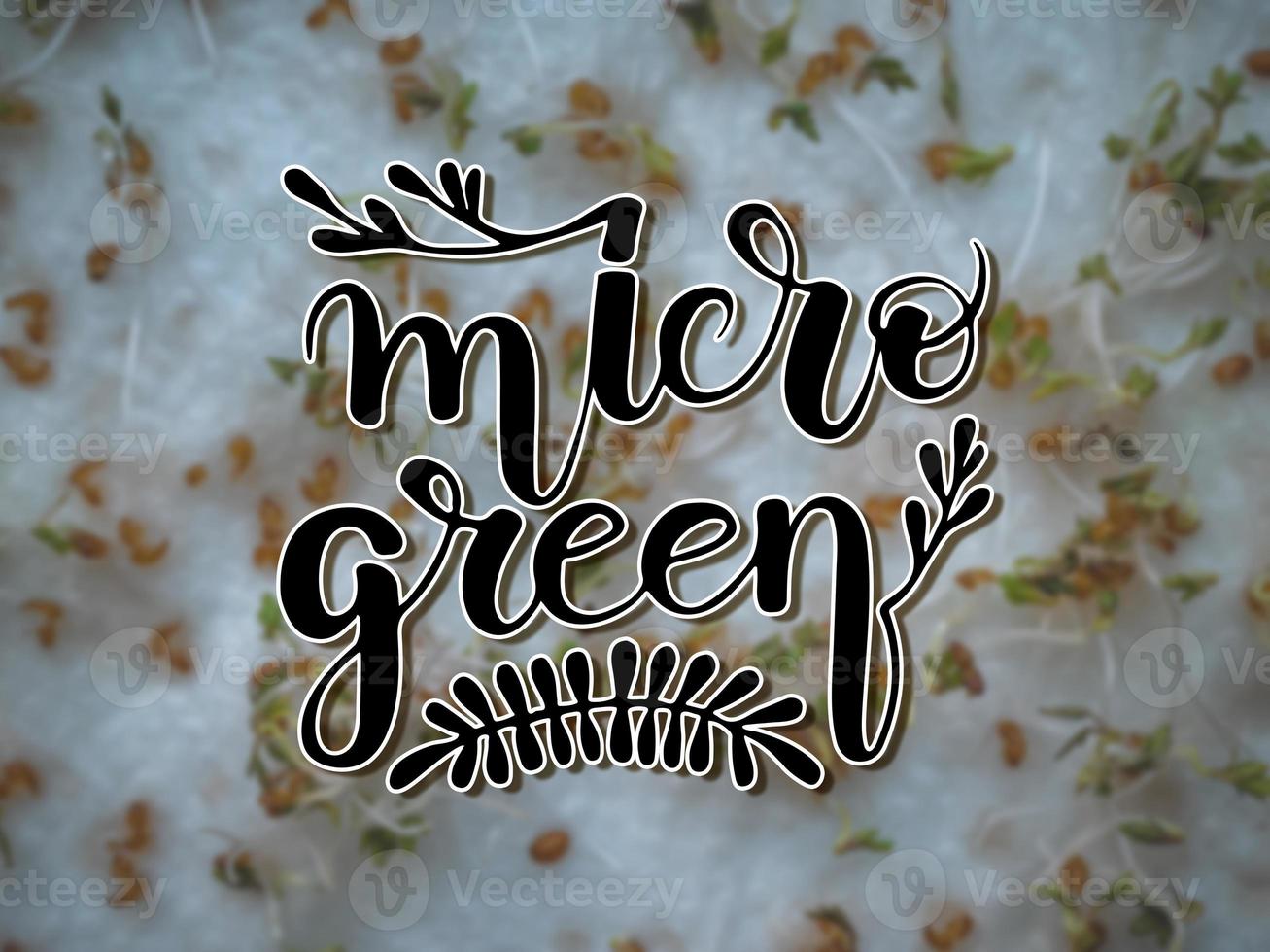 Lettering on Microgreens growing background.  micro green sprouts seedling photo