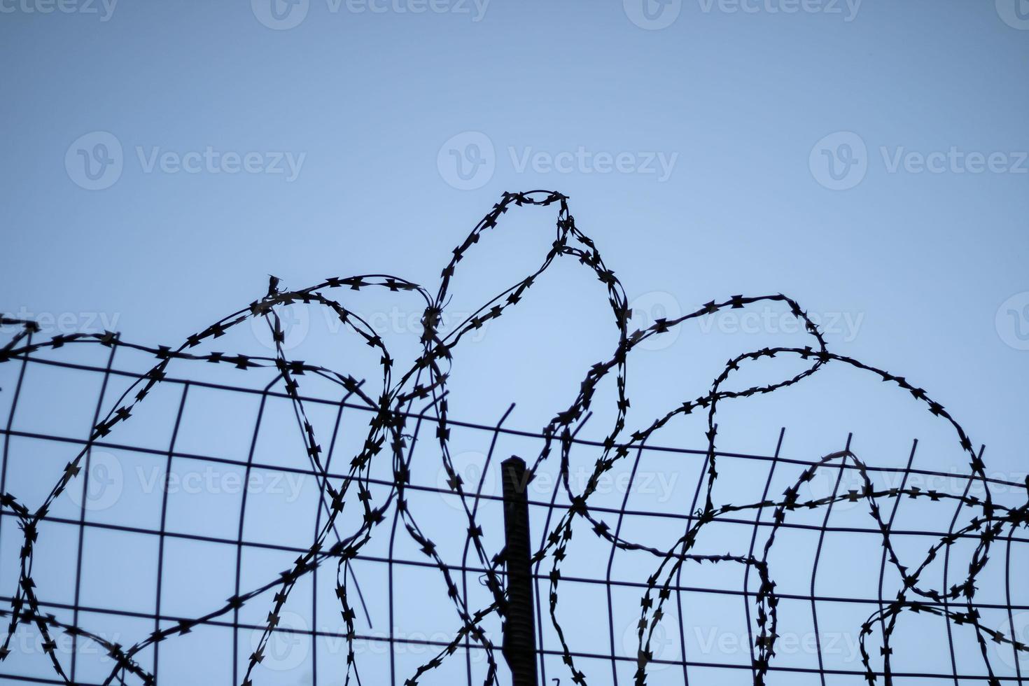 barbed wire and the edge of the lattice against the sky. horizontal photo of protected area