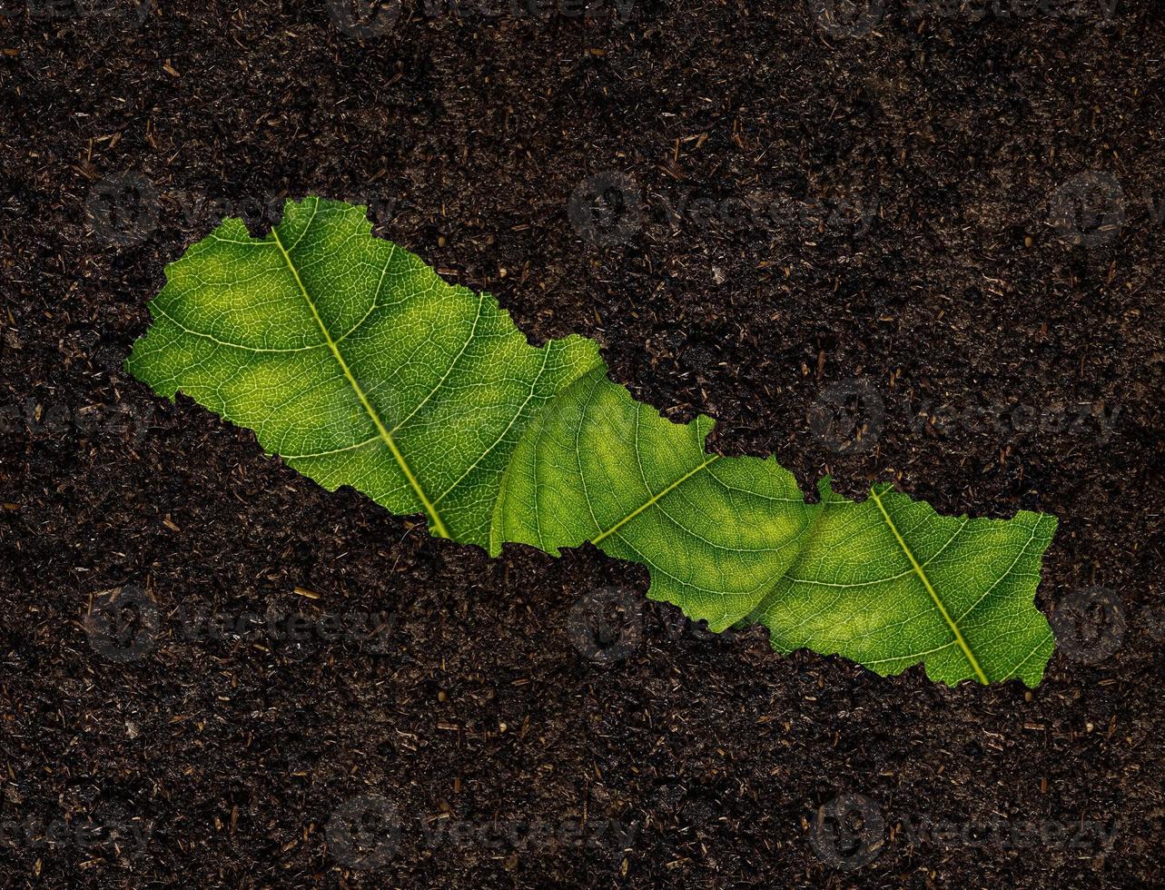 Nepal map made of green leaves on soil background ecology concept photo