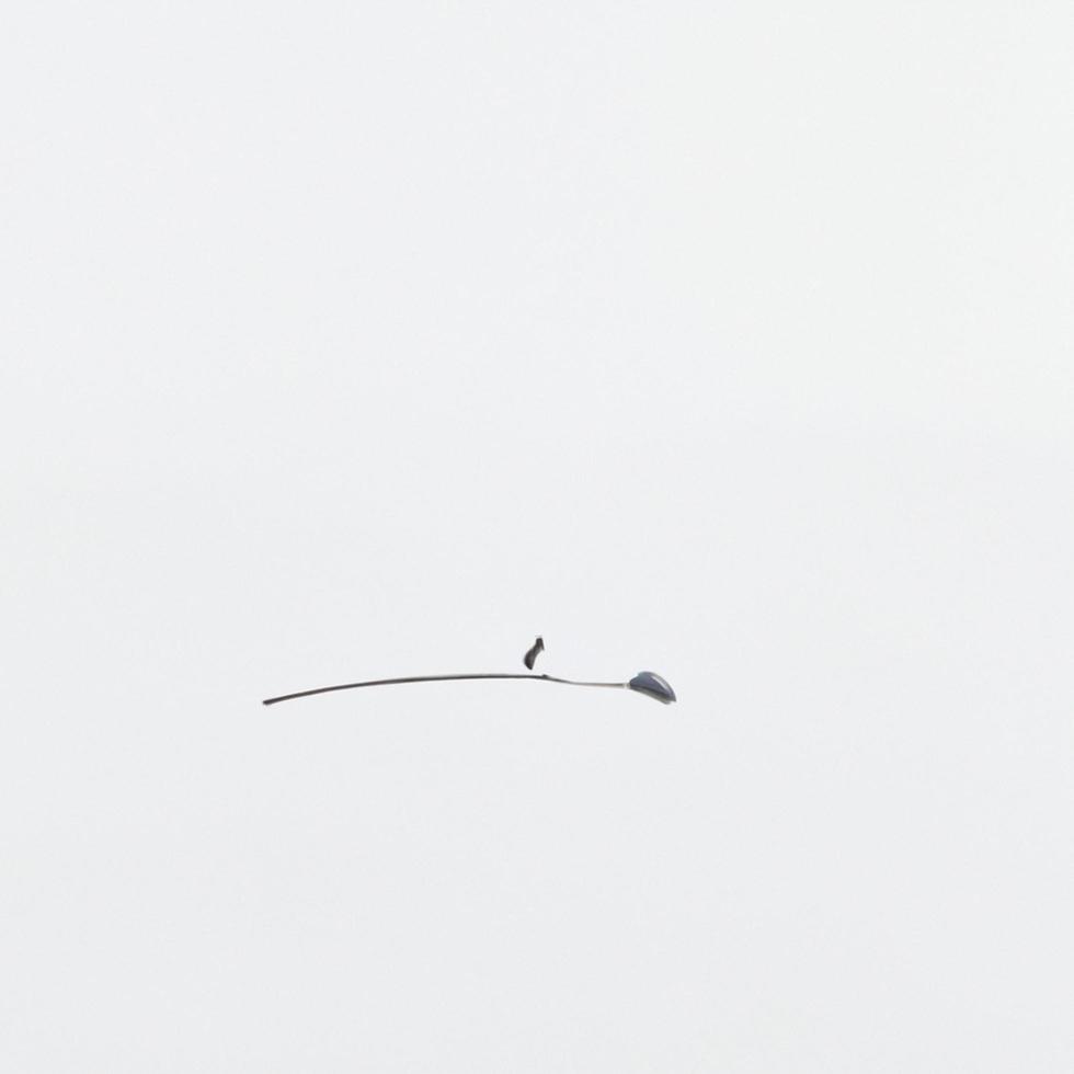 modern clean minimalism photo