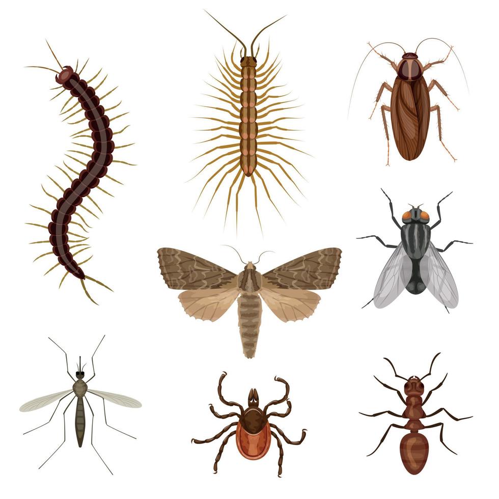 perjudicial insectos dibujos animados icono conjunto vector