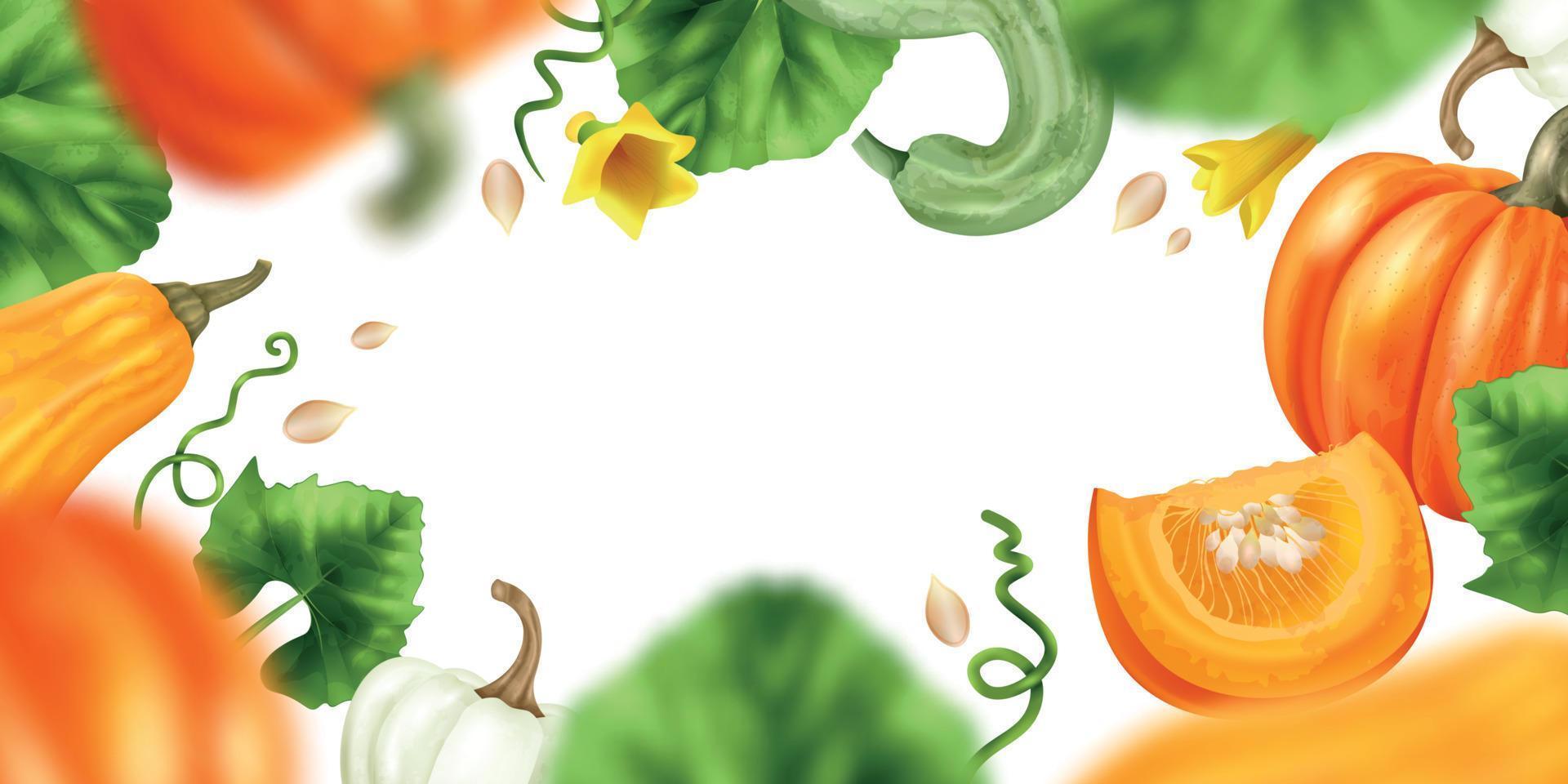 Realistic Pumpkin Frame vector