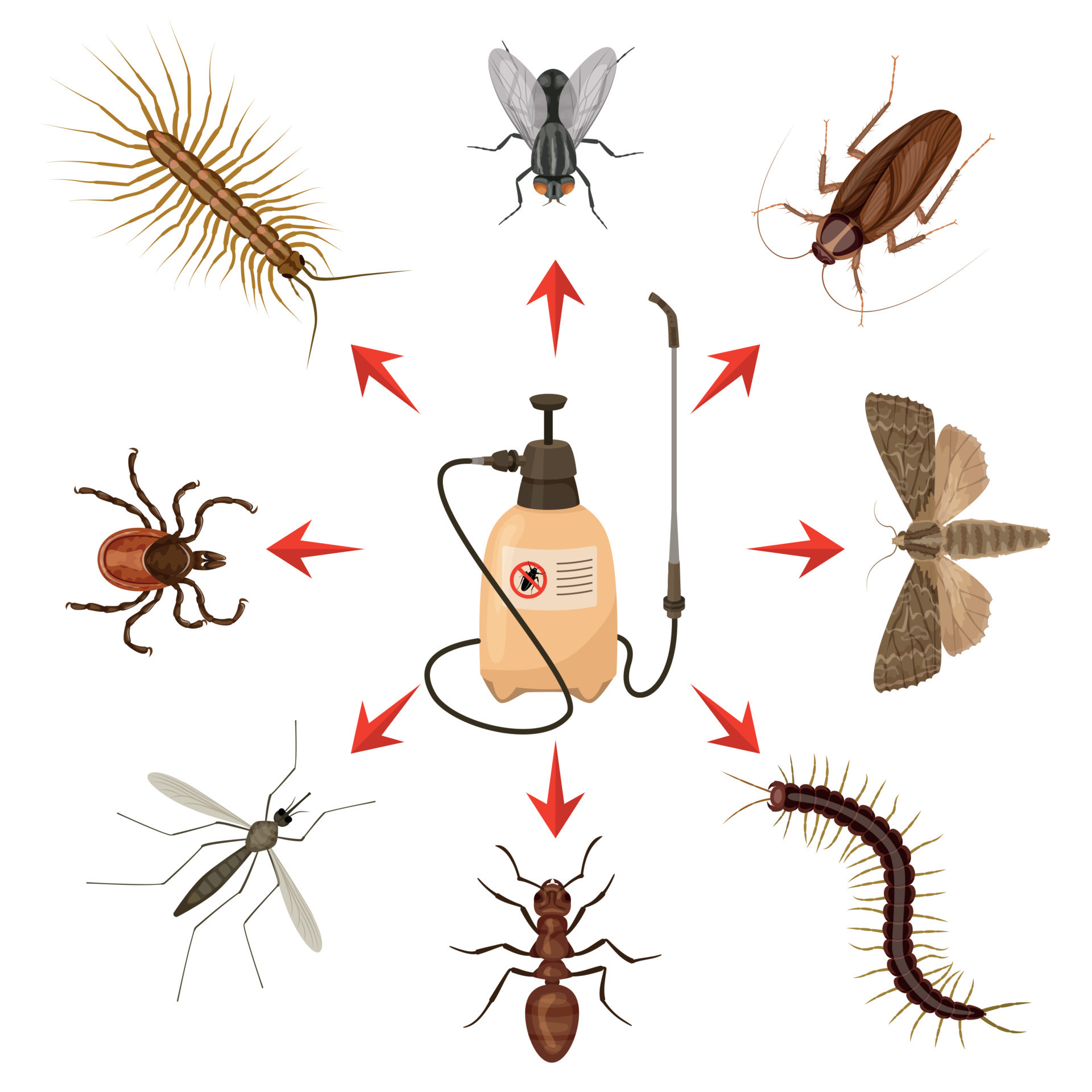 Harmful Insects