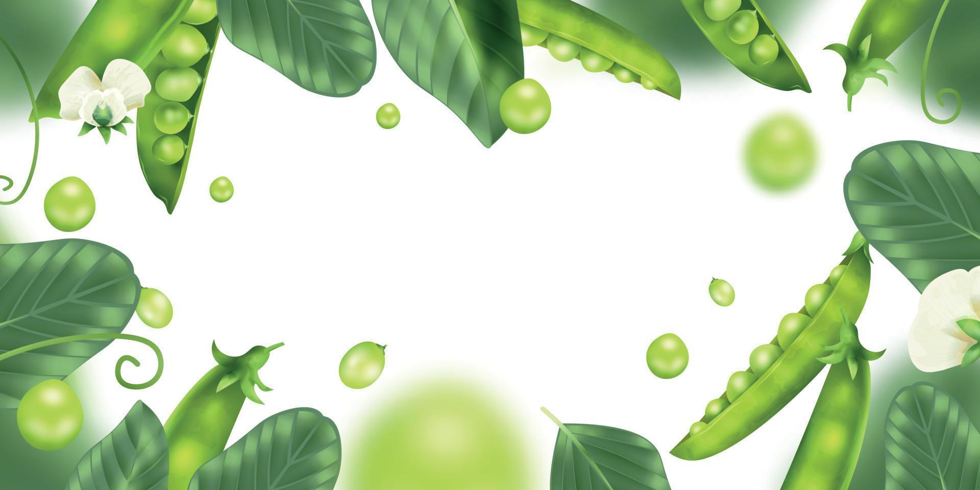 Realistic Peas Frame vector
