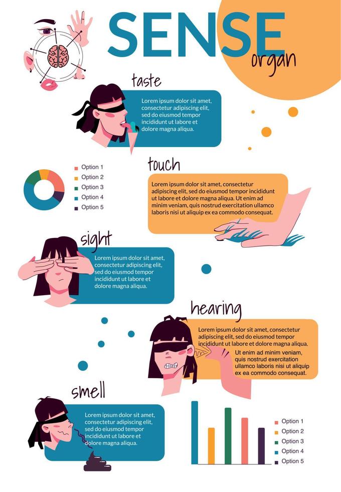Sense Organs Flat Infographics vector