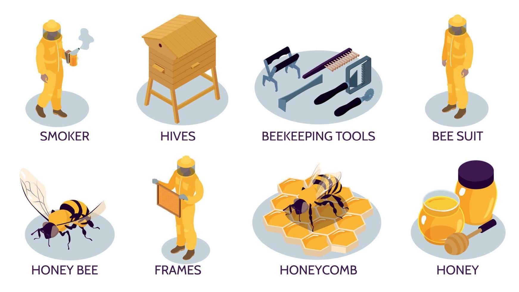 apicultura composiciones conjunto vector