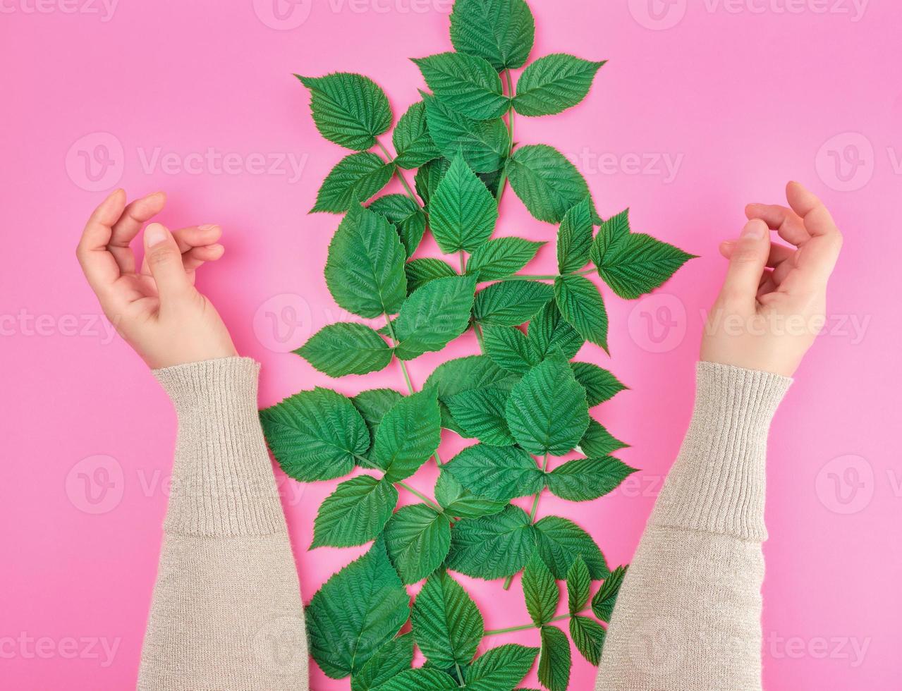 two female hands of a young girl with smooth skin photo