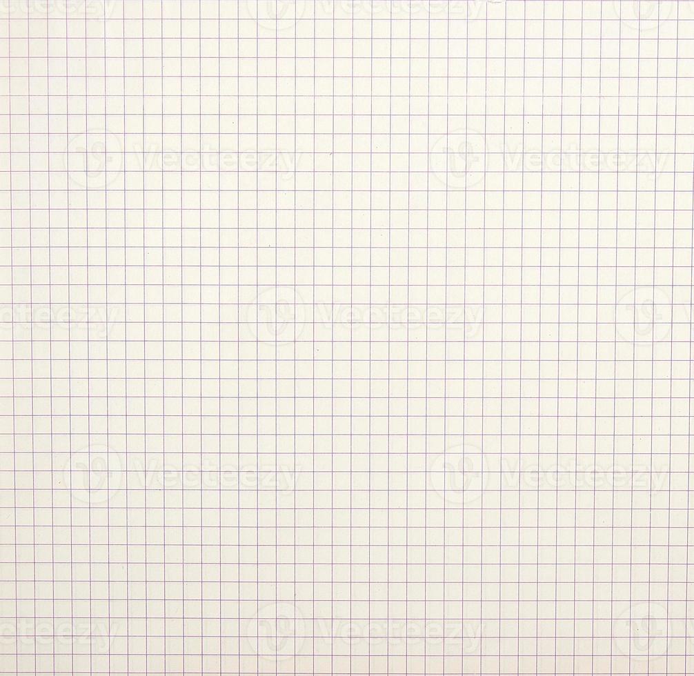 sheet of school notebook in a cell, full frame photo