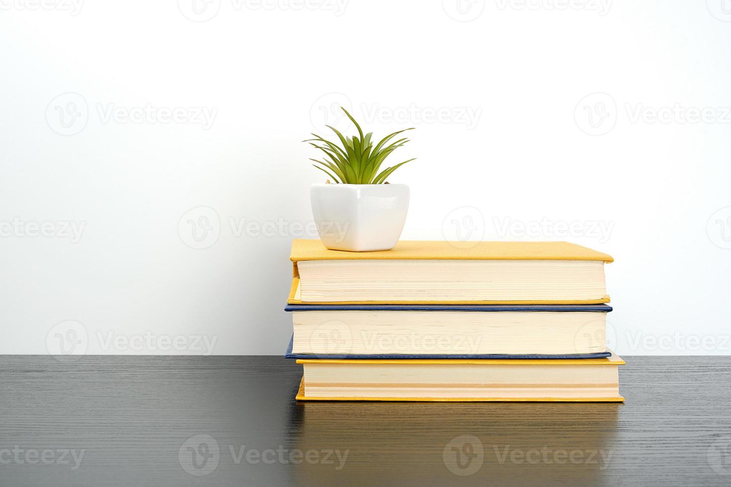 stack books on a black table, on top a ceramic pot with a green plant photo