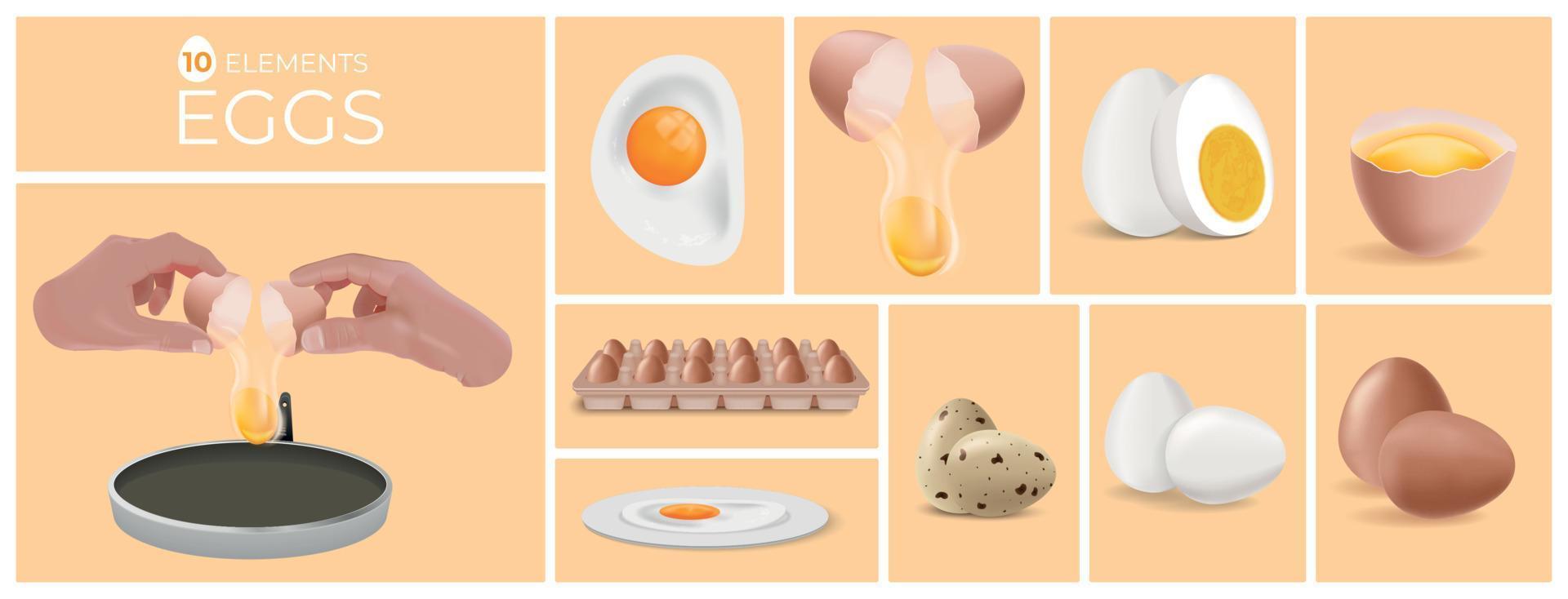 Eggs Cook Realistic Composition Set vector